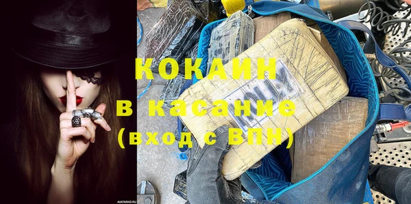 шишки Бородино