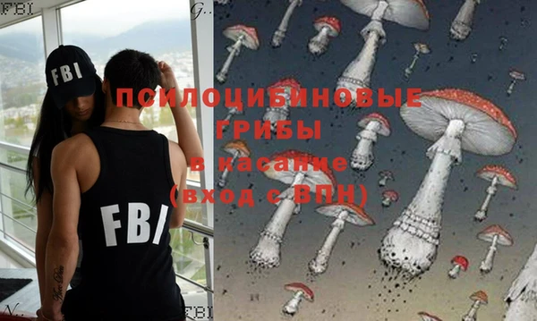 mdpv Верхний Тагил